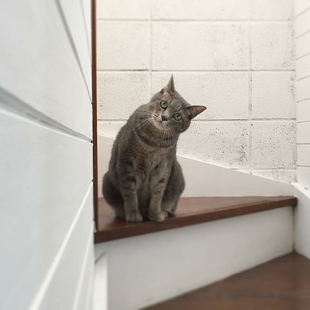akaneさんの実例写真