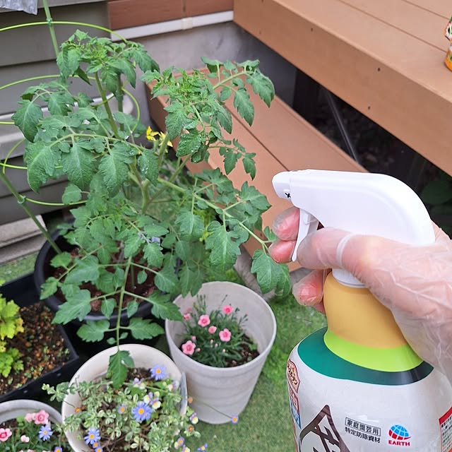 Blancheさんの部屋