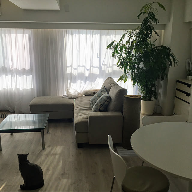 elly951さんの実例写真