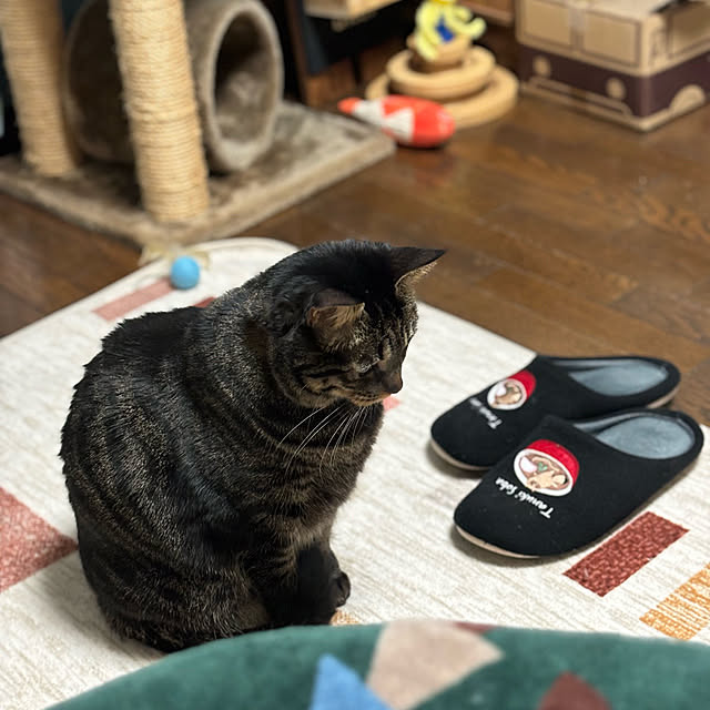 momocchiさんの実例写真
