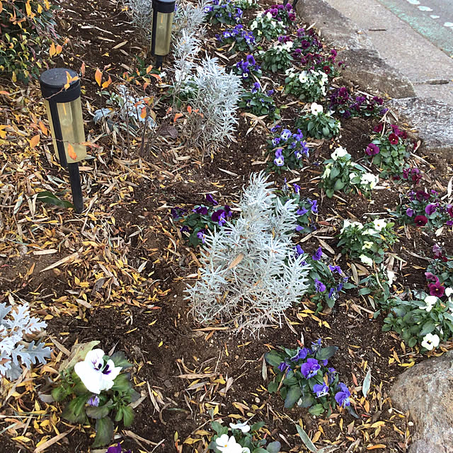 houenさんの部屋