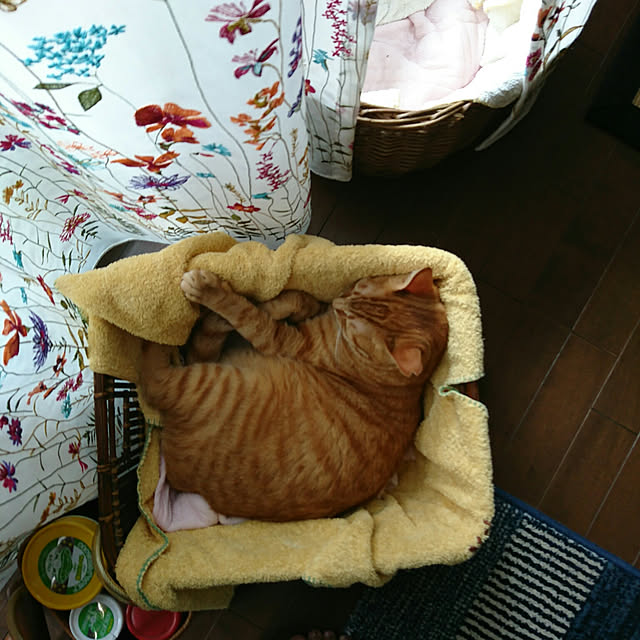 okyosan101さんの実例写真