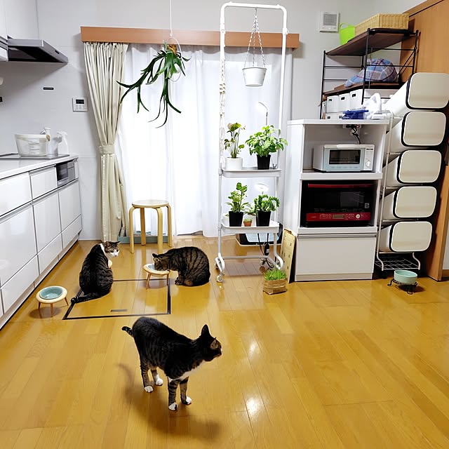 nachiさんの実例写真