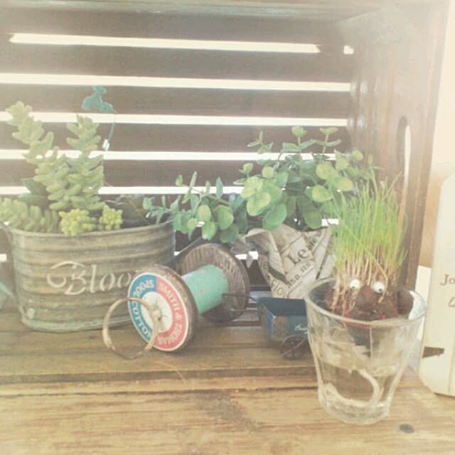 chiさんの部屋