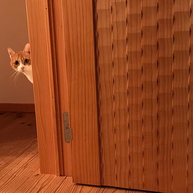 sakurasakuさんの実例写真