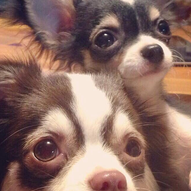 実例写真