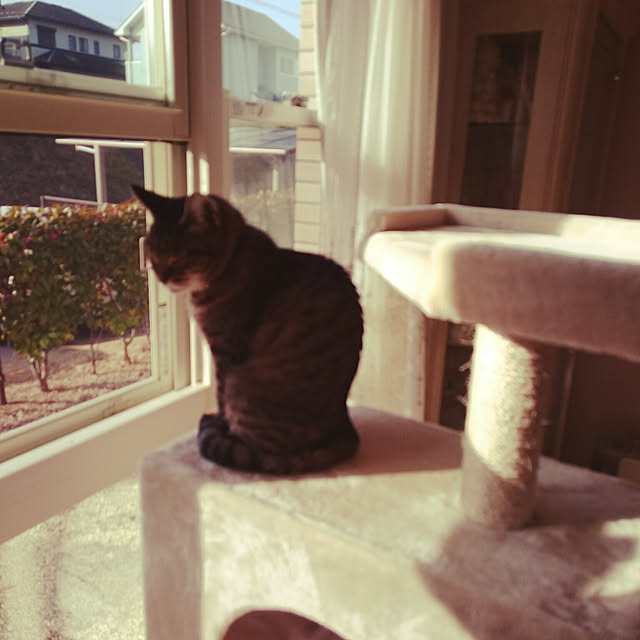 lilyさんの実例写真
