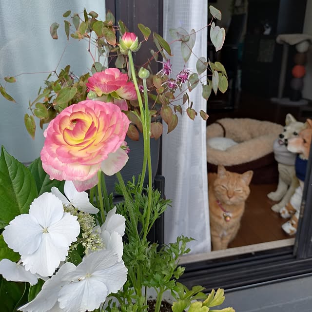 NOAHさんの実例写真