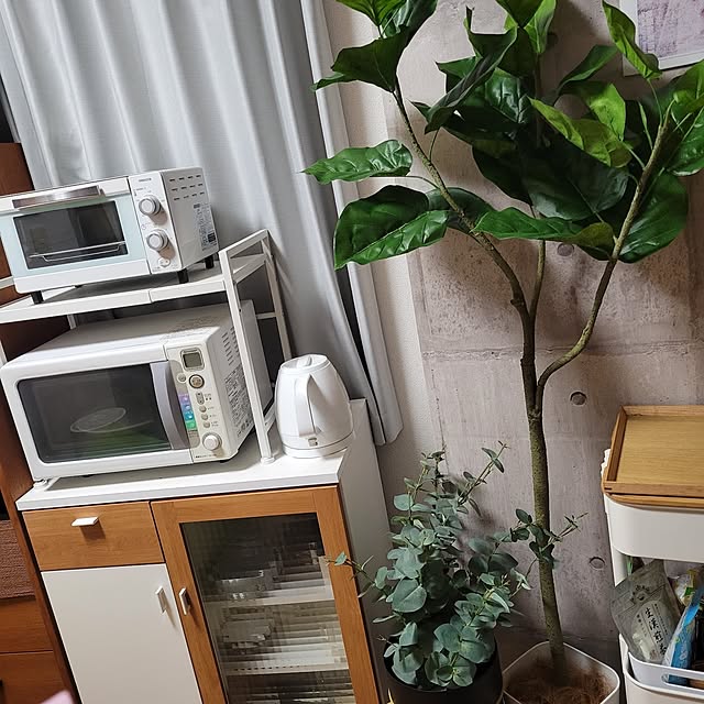 kazuuunさんの実例写真