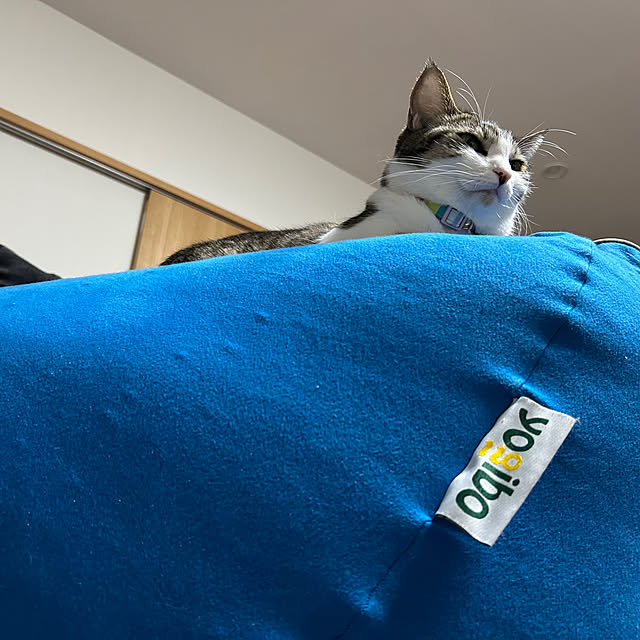 nacchi4さんの実例写真