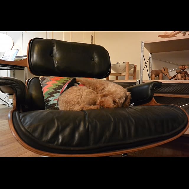 Hiroさんの実例写真