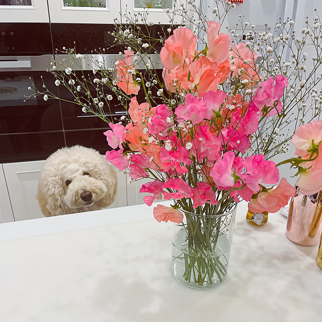 nackeyさんの部屋