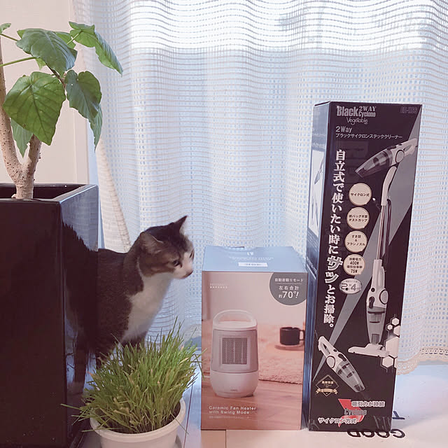 nekomiさんの実例写真