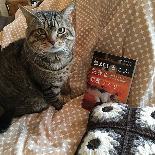 kuuさんの実例写真