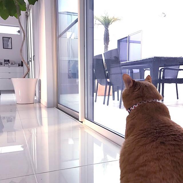minakoさんの実例写真