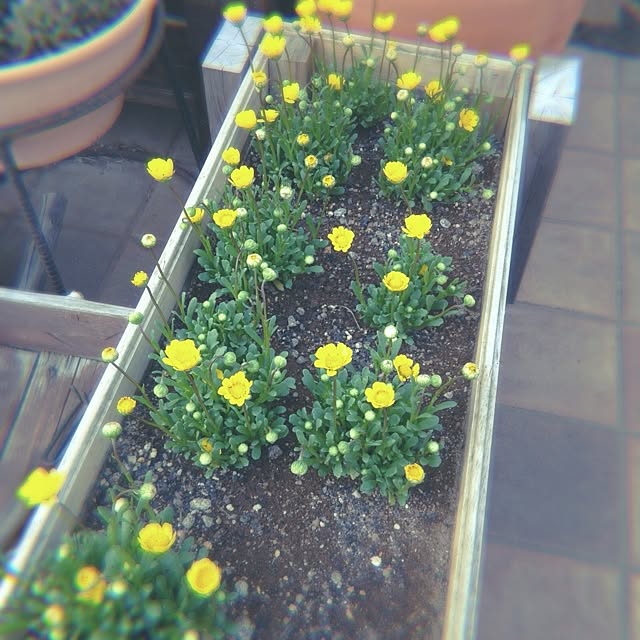 mi-styleさんの実例写真