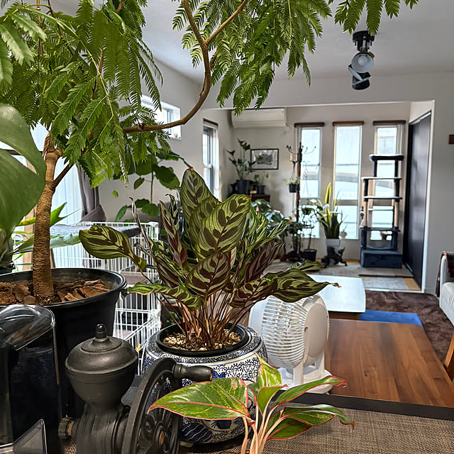 manonさんの部屋