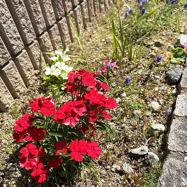 alchoさんの部屋