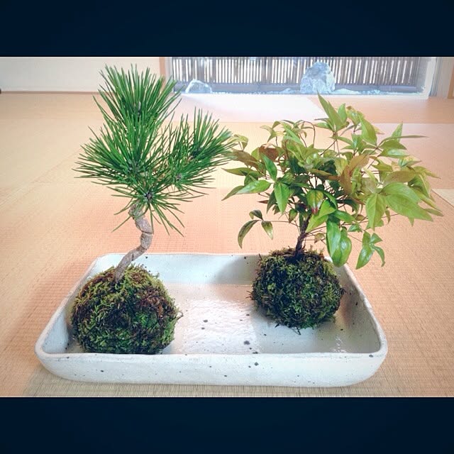 maylieさんの実例写真