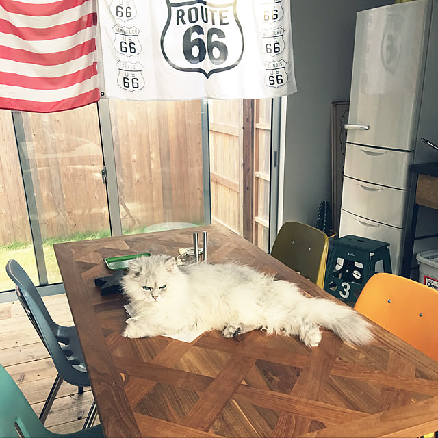 9p_Houseさんの実例写真
