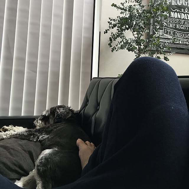 margoandcoさんの実例写真