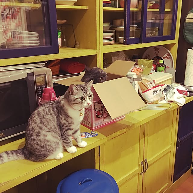 Shojiさんの実例写真