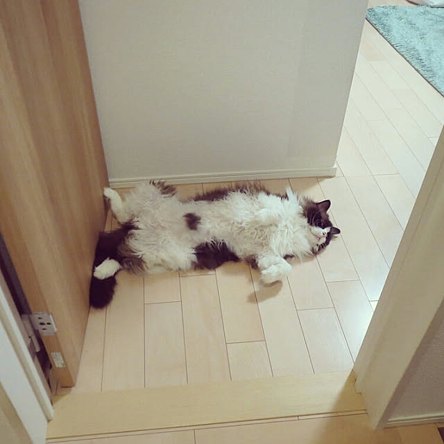 実例写真