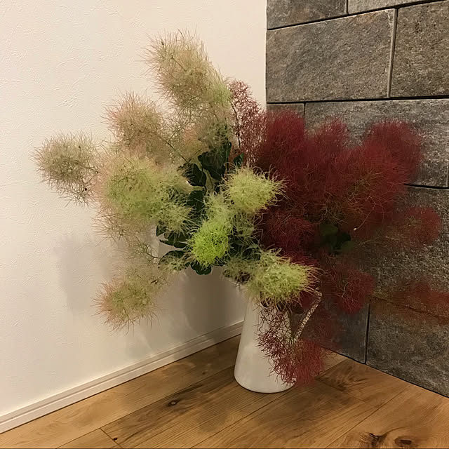 izumoanさんの実例写真