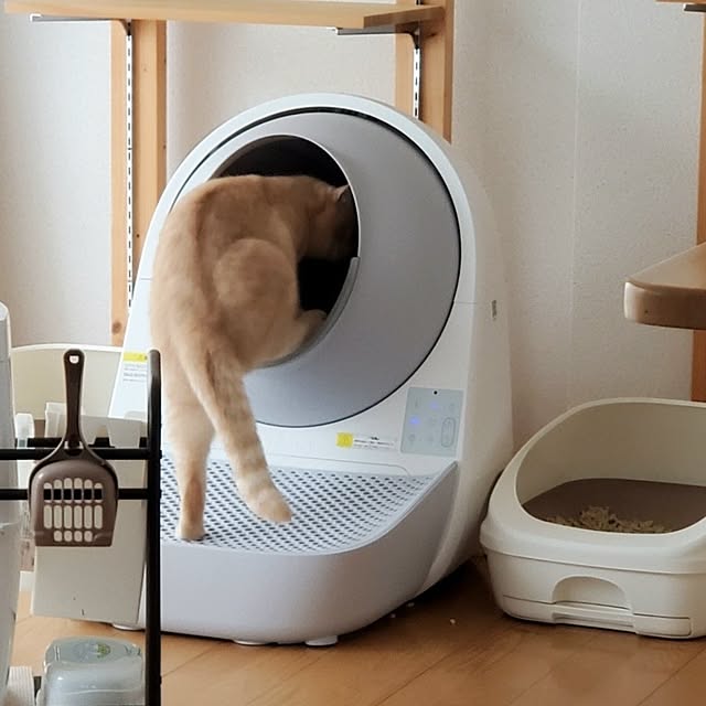 makoさんの実例写真