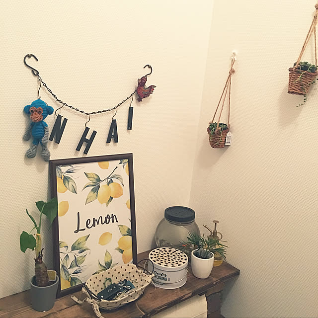 ダイソー/100均/観葉植物/DIY/玄関/入り口のインテリア実例 - 2019-05-19 21:33:58