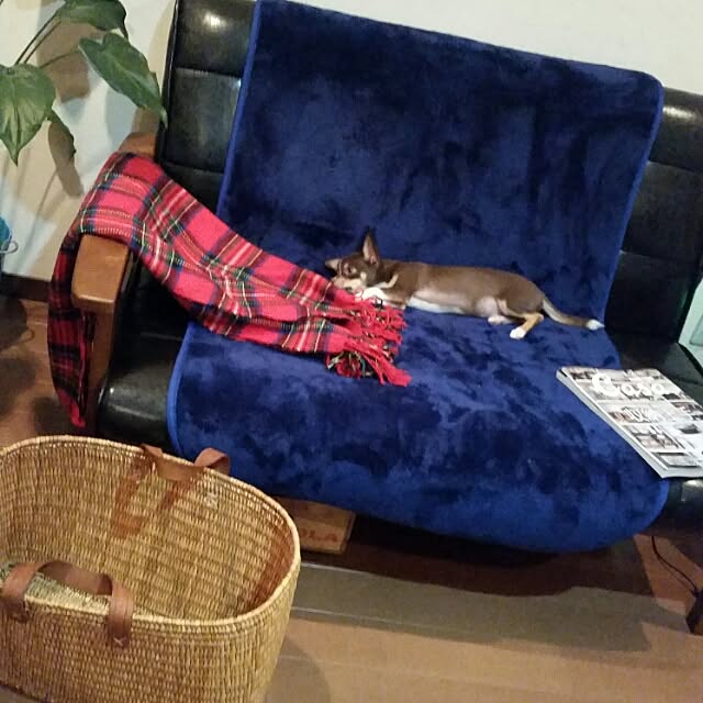 tomochinさんの実例写真