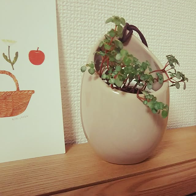yukiさんの実例写真