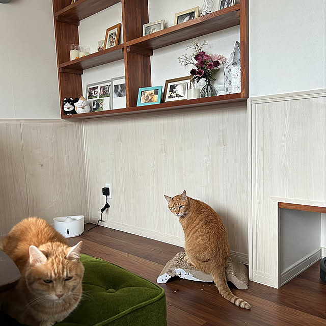 mikeume7さんの実例写真