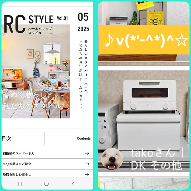 実例写真