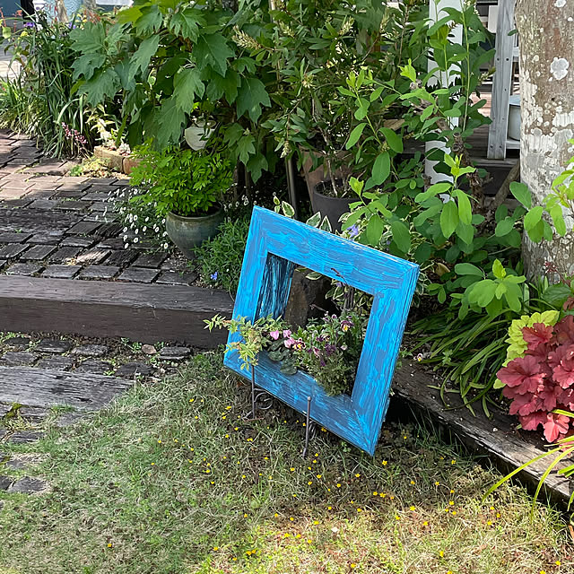 nobikoさんの部屋