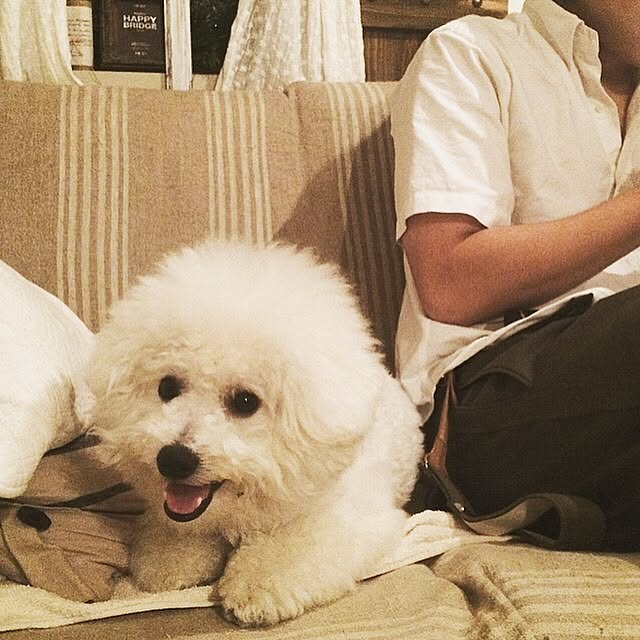 happy_bridgeさんの実例写真