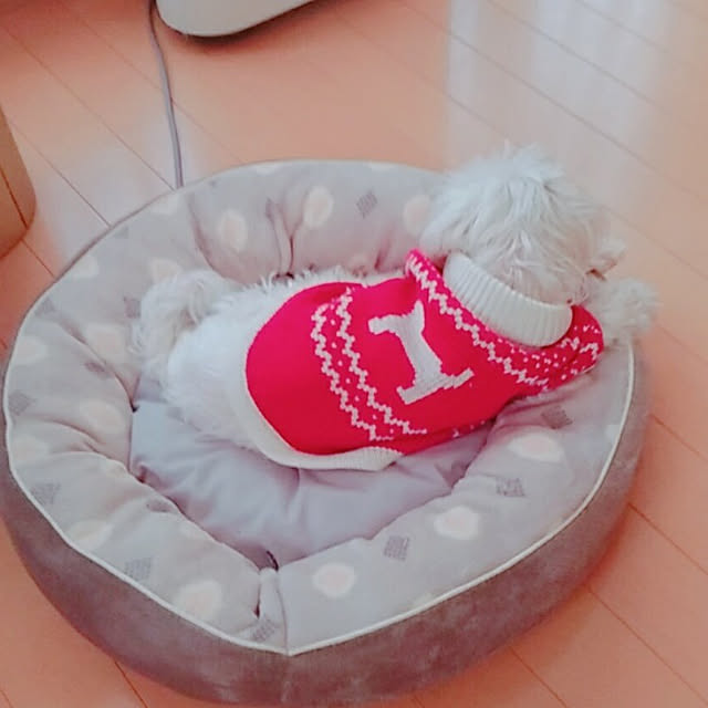 magnoliaさんの実例写真