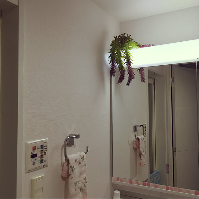 megumiさんの実例写真