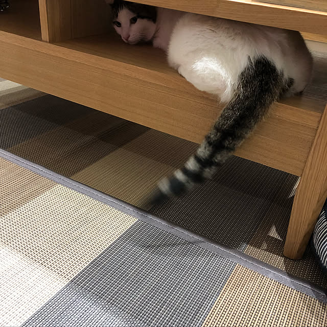 nnkttoさんの実例写真