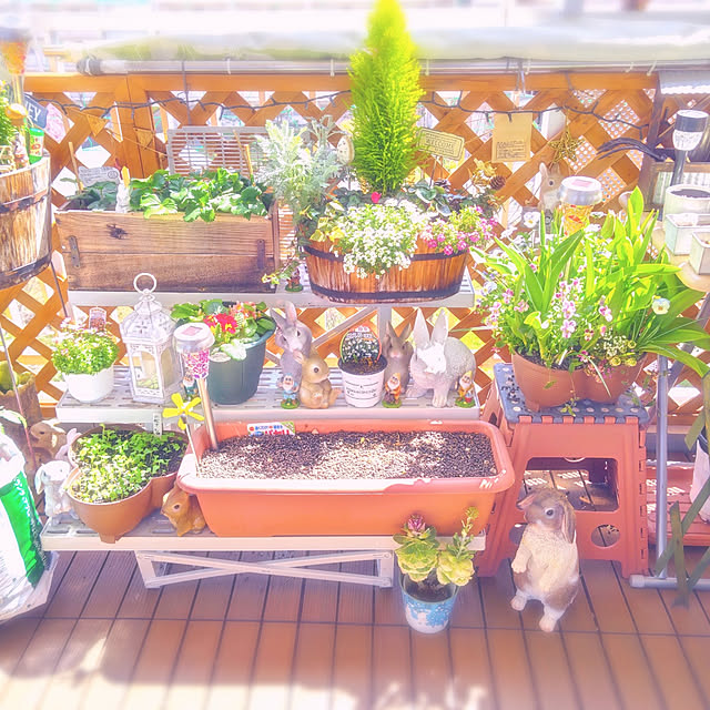 mariaさんの実例写真