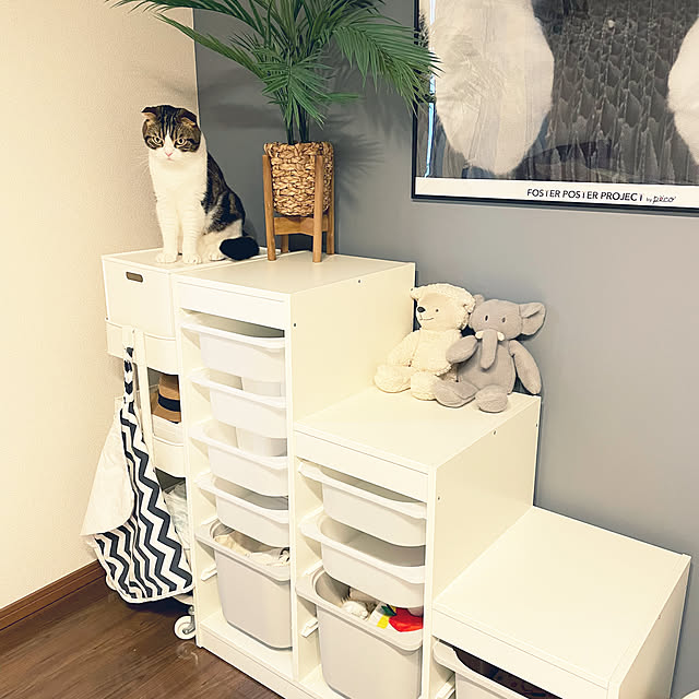 tansukeさんの部屋