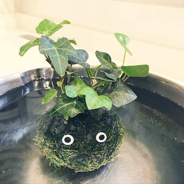 keito814さんの実例写真