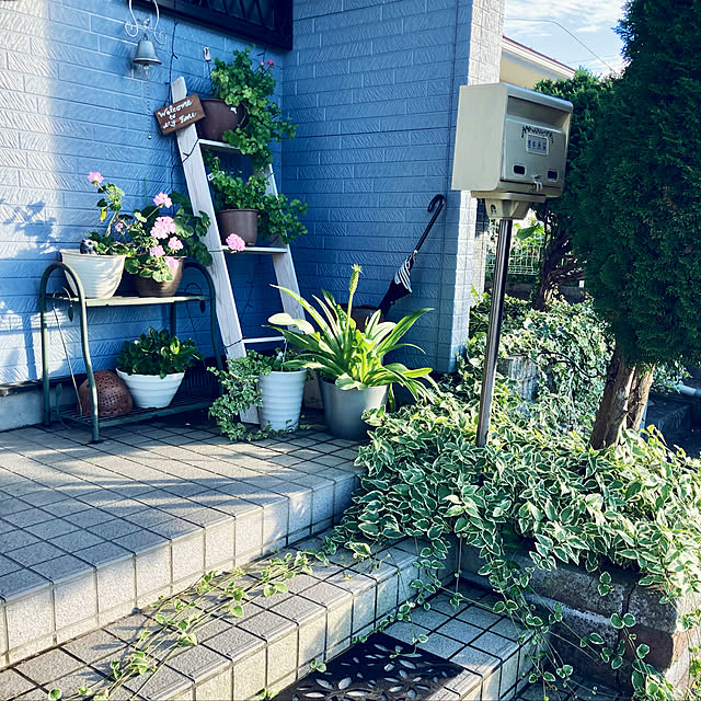 CoCo0617さんの実例写真