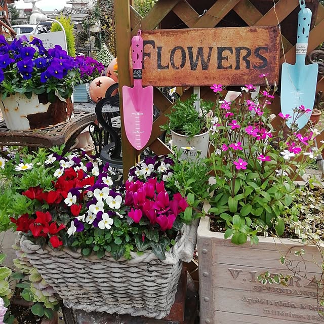 haruiroさんの実例写真