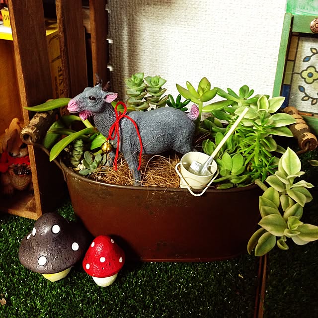 rukakoさんの実例写真