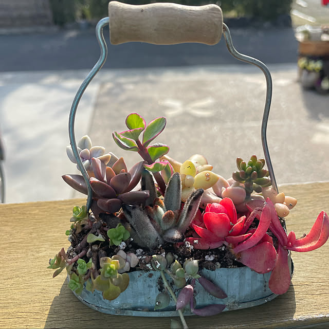 実例写真