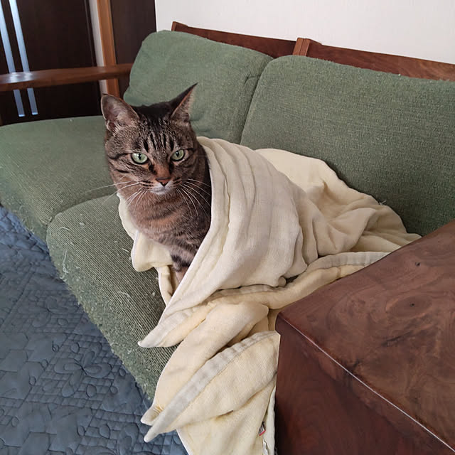 komugiさんの実例写真