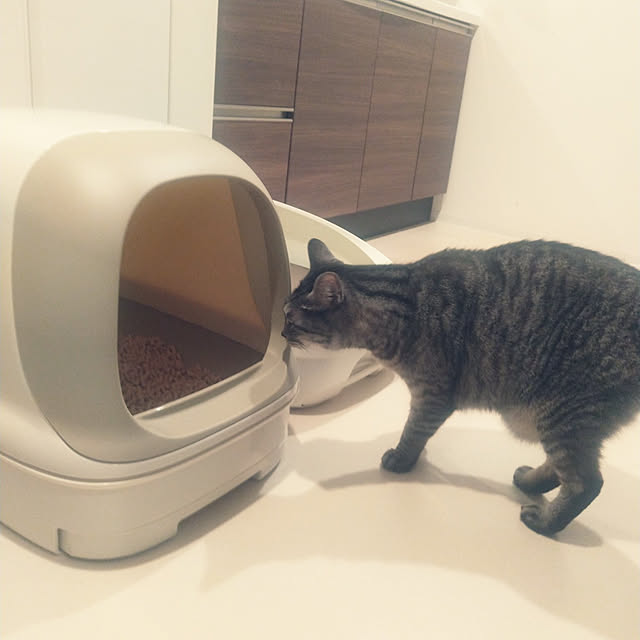 miumiuさんの実例写真