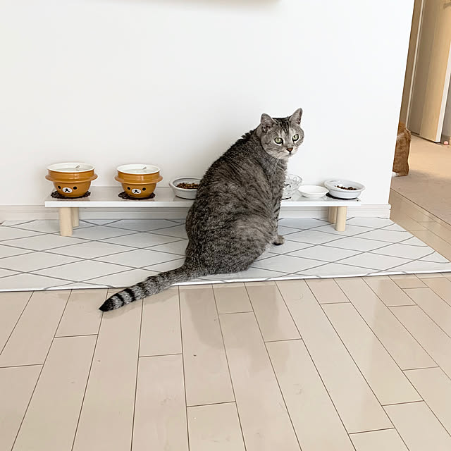 bikkeさんの実例写真