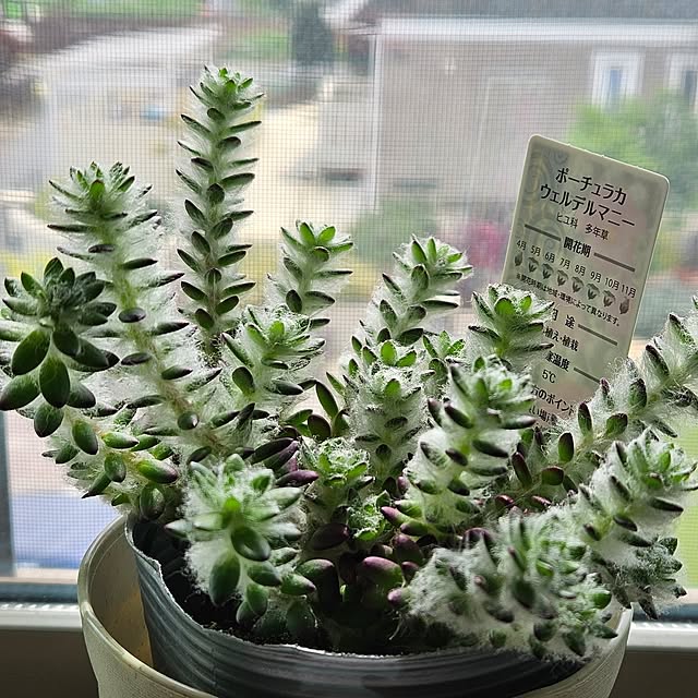 totoroさんの部屋